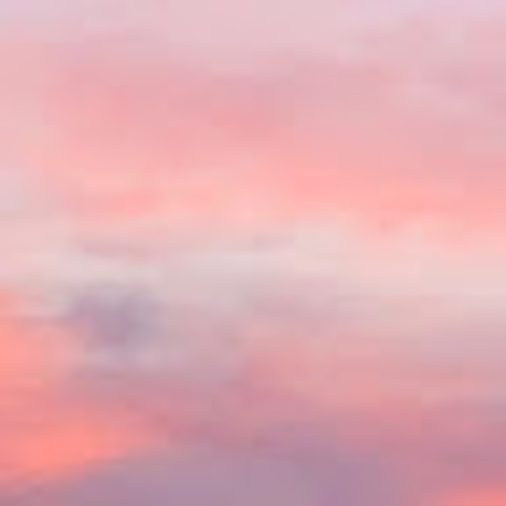 Meet your Posher, Cassie